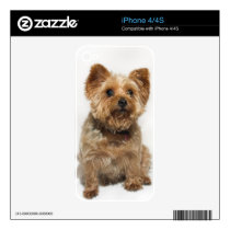Cute Little Dog iPhone 4/4S Skin Decals For The Iphone 4s