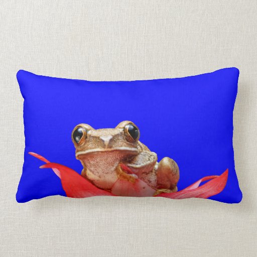 cute frog pillow