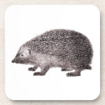 Cute Little Hedgehog Antique Engraving Drink Coasters