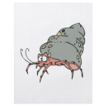 cute little hermit crab flyers