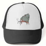 cute little hermit crab hats