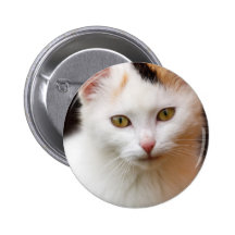 Cute Little Kitten Buttons