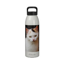 Cute Little Kitten Water Bottle
