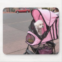 Cute little poodle in a doggie stroller, on a mous mousepads by design_girl Cute little poodle in a doggie stroller, on a mous mousepads
