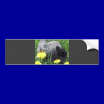 CUTE LITTLE RABBITS BUNNIES DANDELION GRASS NATURE bumper stickers