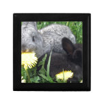 CUTE LITTLE RABBITS BUNNIES DANDELION GRASS NATURE KEEPSAKE BOXES