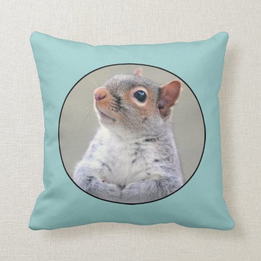 Cute Little Soft and Fluffy Gray Squirrel Pillows Zazzle
