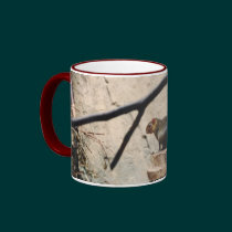 Cute Little Squirrel mugs