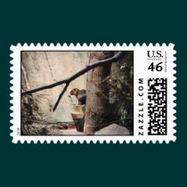 Cute Little Squirrel stamps