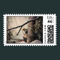 Cute Little Squirrel postage