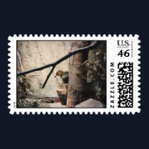 Cute Little Squirrel postage by iggymak Cute Little Squirrel postage