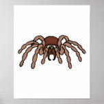 cute little tarantula posters