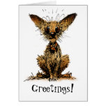 Cute Little Toy Dog Greeting Card