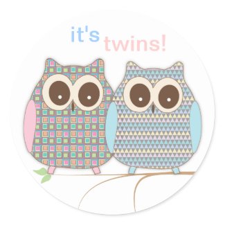 cute_little_twin_owls_a_boy_and_a_girl_sticker-p217436078029925358711n_325.jpg