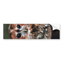 Cute Little Wild Owl Bumper Sticker