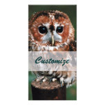 Cute Little Wild Owl Photo Card