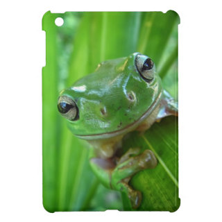 Cute Looking Tree Frog Close Up Cover For The iPad Mini