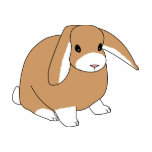 Cute Lop Eared Rabbit T-Shirt
