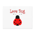 Cute Love Bug Heart Ladybug Postcard