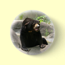 Cute Malaya sun bear buttons