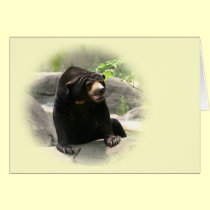 Cute Malaya sun bear cards