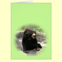 Cute Malaya sun bear cards