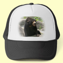Cute Malaya sun bear hats