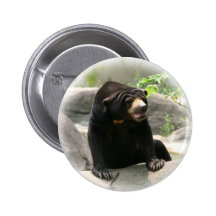 Cute Malaya sun bear Pinback Button
