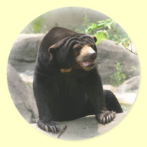 Cute Malaya sun bear stickers