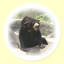 Cute Malaya sun bear stickers