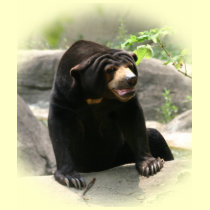 Cute Malaya sun bear t-shirts