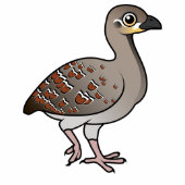 Birdorable Malleefowl edun LIVE Ladies T-Shirt
