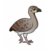 Birdorable Malleefowl edun LIVE Ladies T-Shirt