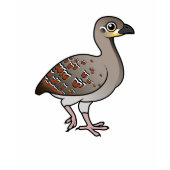 Birdorable Malleefowl Kids Dark T-Shirt