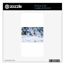 Cute Maltese Dog Decals For The iPhone 4S