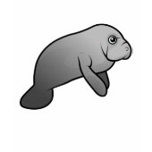 Cute Manatee 