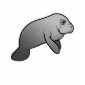 Cute Manatee Ladies Casual Scoop