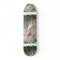 Cute Meerkat  Skateboard