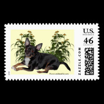 Cute MickeyElvis Chihuahua postage by mickeyelvis128 Cute MickeyElvis Chihuahua postage