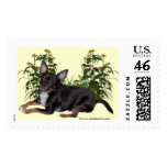 Cute MickeyElvis Chihuahua Stamp