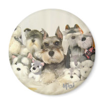 CUTE Mini Schnauzer Magnet by AngelaMini CUTE Mini Schnauzer Magnet