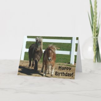 Cute Miniature Horse Birthday Card