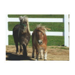 Cute Miniature Horse Stretched Canvas Print