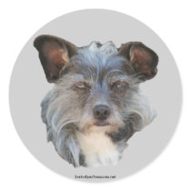 Cute Mixed Breed Mutt Dog Photo Sticker Label by SmilinEyesTreasures Cute Mixed Breed Mutt Dog Photo Sticker Label