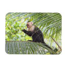 Cute Monkey on a Palm Tree Flexible Magnet
