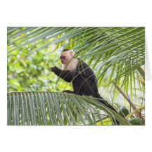 Cute Monkey on a Palm Tree Greeting Cards