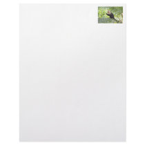 Cute Monkey on a Palm Tree Letterhead Design