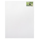 Cute Monkey on a Palm Tree Letterhead Design