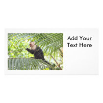 Cute Monkey on a Palm Tree Custom Photo Card
