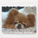 CUTE MOUSEPAD